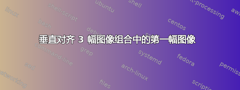 垂直对齐 3 幅图像组合中的第一幅图像 