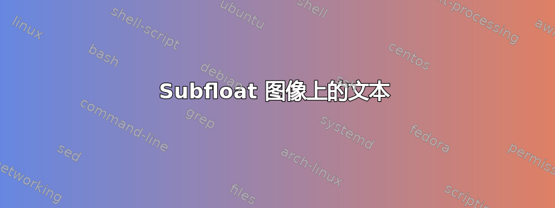 Subfloat 图像上的文本