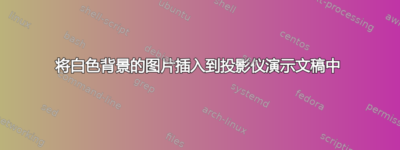 将白色背景的图片插入到投影仪演示文稿中