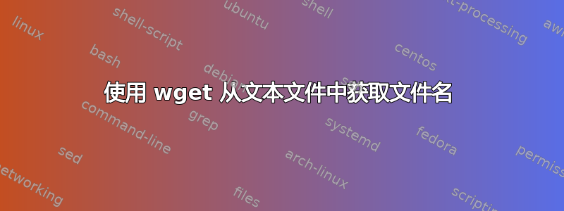 使用 wget 从文本文件中获取文件名