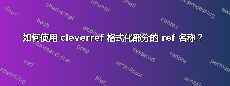 如何使用 cleverref 格式化部分的 ref 名称？