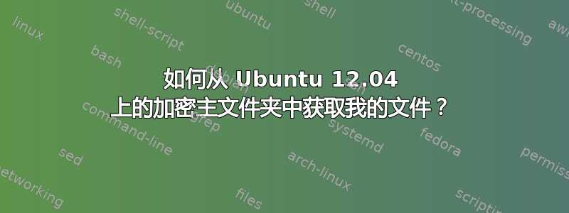 如何从 Ubuntu 12.04 上的加密主文件夹中获取我的文件？