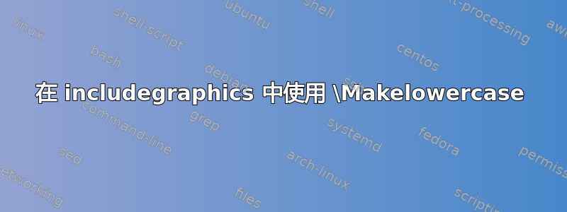 在 includegraphics 中使用 \Makelowercase