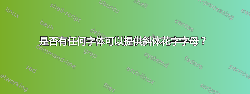 是否有任何字体可以提供斜体花字字母？