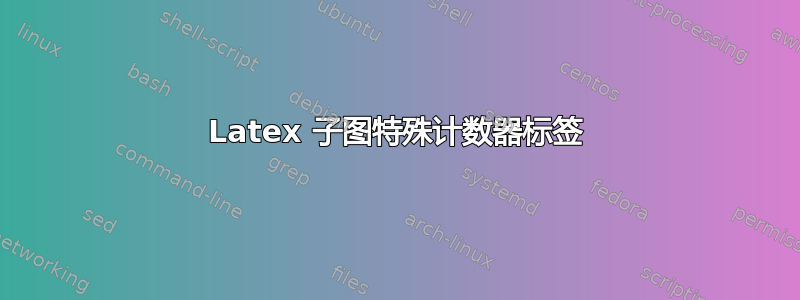 Latex 子图特殊计数器标签