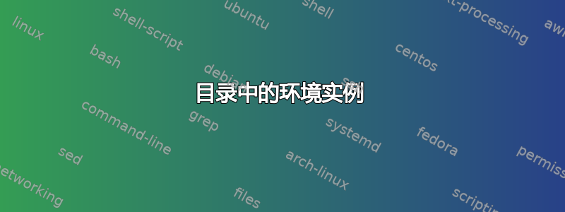 目录中的环境实例