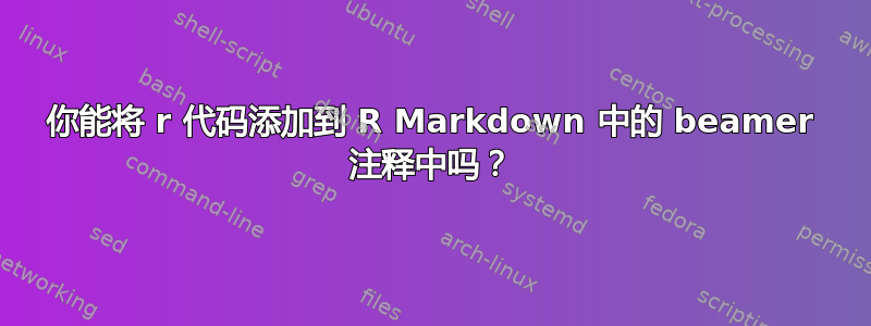 你能将 r 代码添加到 R Markdown 中的 beamer 注释中吗？