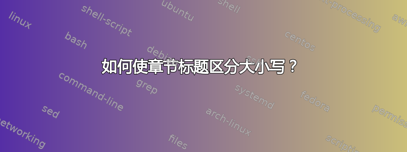 如何使章节标题区分大小写？