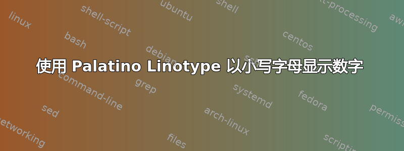 使用 Palatino Linotype 以小写字母显示数字