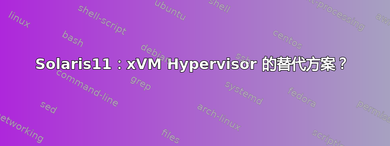 Solaris11：xVM Hypervisor 的替代方案？