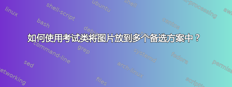 如何使用考试类将图片放到多个备选方案中？