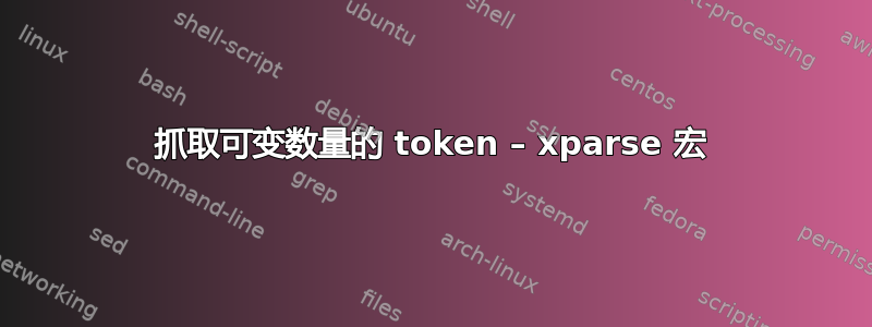 抓取可变数量的 token – xparse 宏