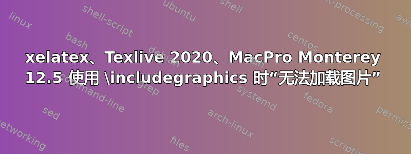 xelatex、Texlive 2020、MacPro Monterey 12.5 使用 \includegraphics 时“无法加载图片”