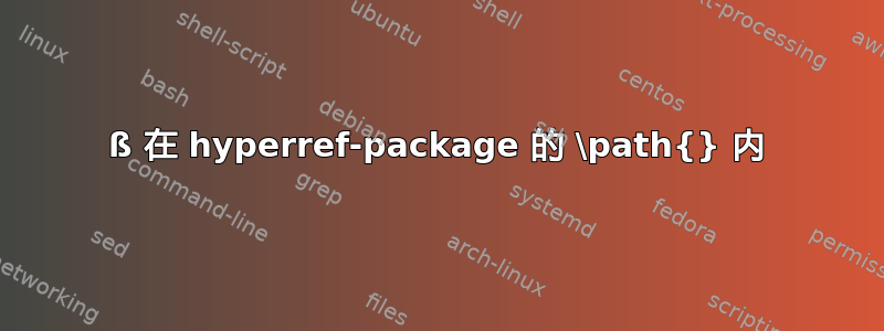 ß 在 hyperref-package 的 \path{} 内