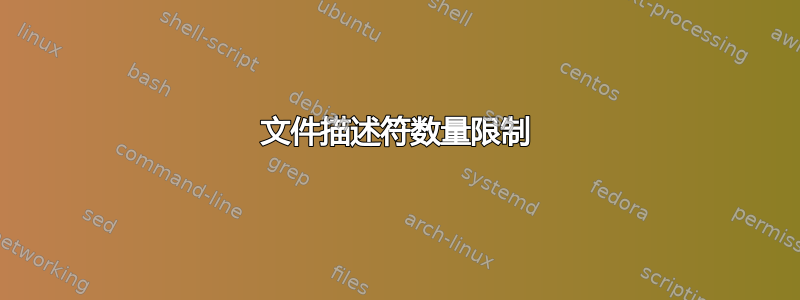 文件描述符数量限制