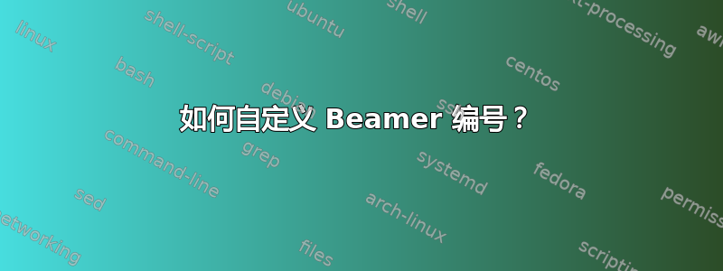 如何自定义 Beamer 编号？