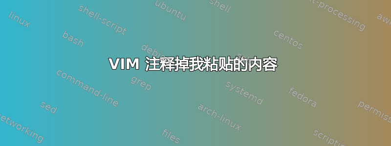 VIM 注释掉我粘贴的内容