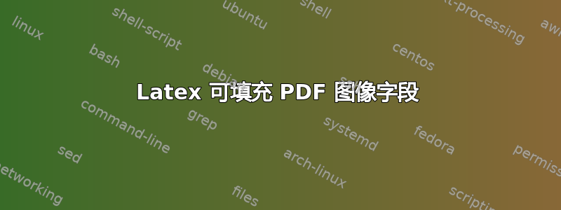 Latex 可填充 PDF 图像字段