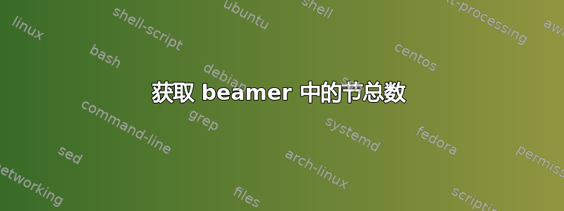 获取 beamer 中的节总数