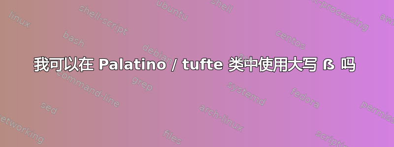 我可以在 Palatino / tufte 类中使用大写 ẞ 吗