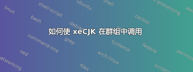 如何使 xeCJK 在群组中调用