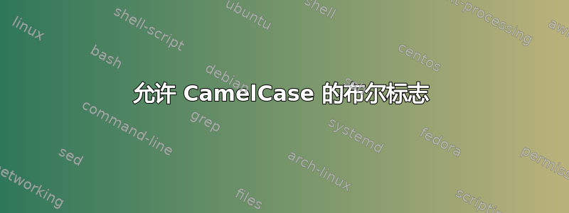 允许 CamelCase 的布尔标志