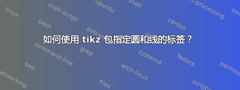 如何使用 tikz 包指定圆和线的标签？