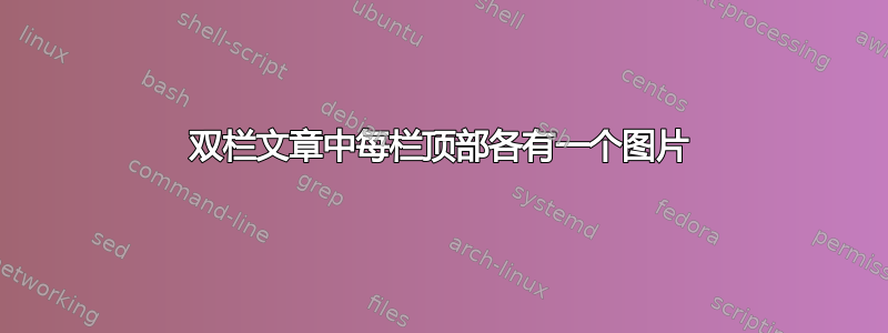 双栏文章中每栏顶部各有一个图片