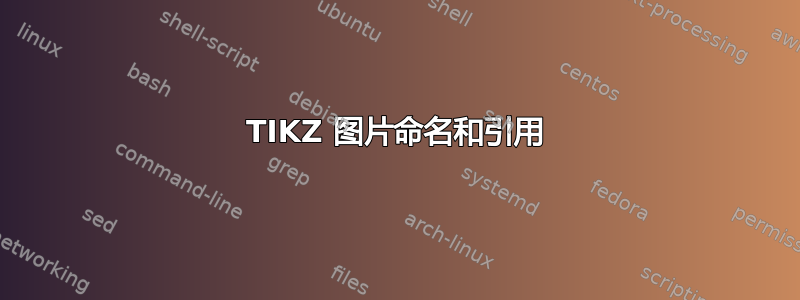 TIKZ 图片命名和引用