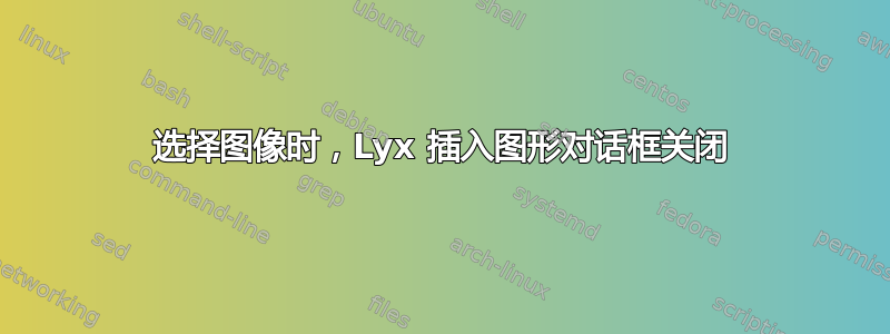 选择图像时，Lyx 插入图形对话框关闭