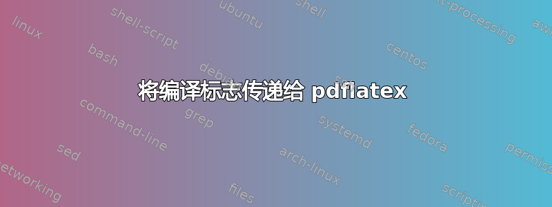 将编译标志传递给 pdflatex