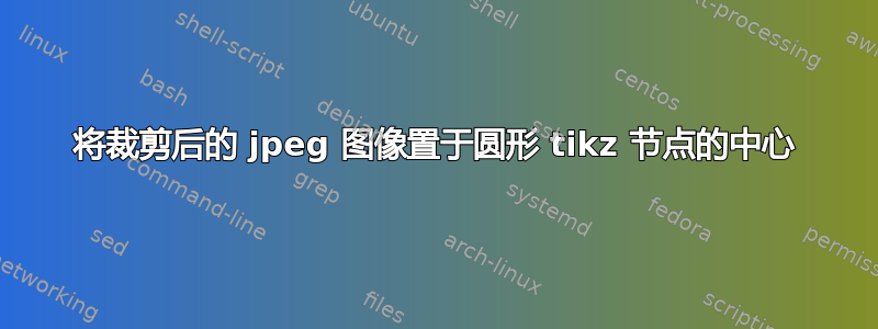 将裁剪后的 jpeg 图像置于圆形 tikz 节点的中心