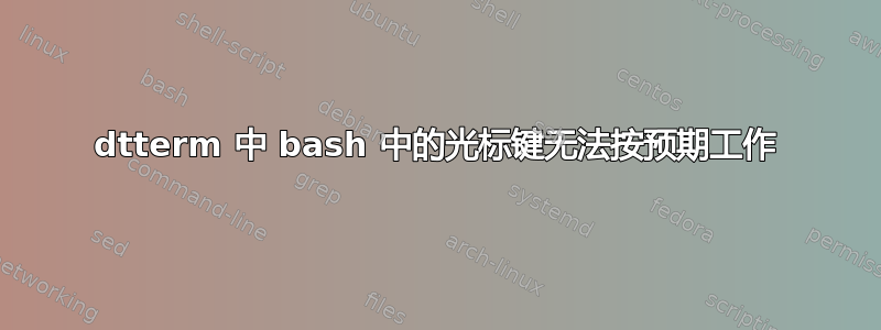 dtterm 中 bash 中的光标键无法按预期工作