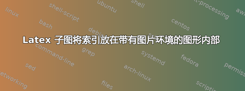 Latex 子图将索引放在带有图片环境的图形内部