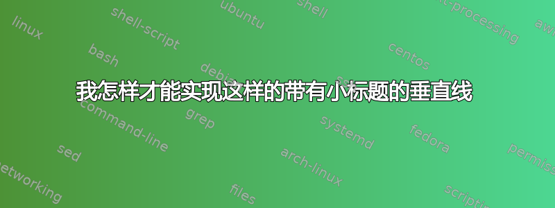 我怎样才能实现这样的带有小标题的垂直线