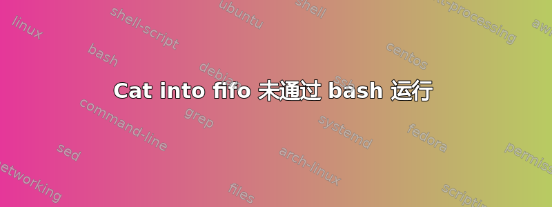 Cat into fifo 未通过 bash 运行