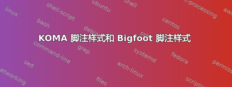 KOMA 脚注样式和 Bigfoot 脚注样式