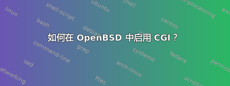 如何在 OpenBSD 中启用 CGI？