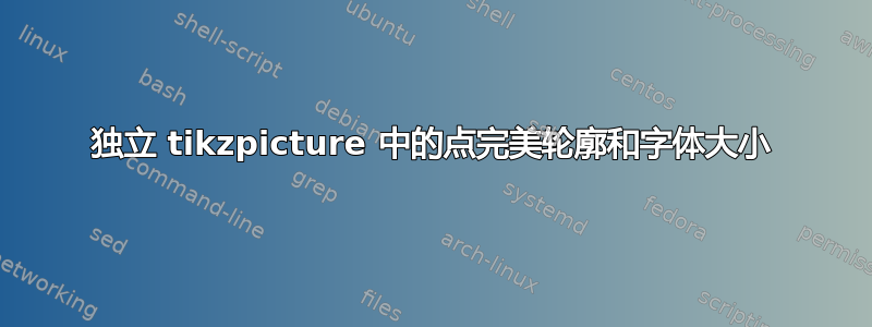 独立 tikzpicture 中的点完美轮廓和字体大小