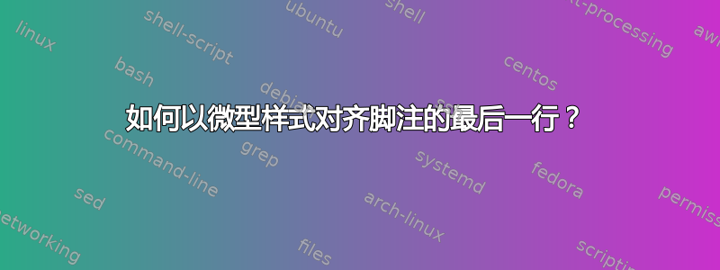 如何以微型样式对齐脚注的最后一行？