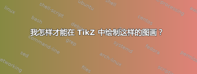 我怎样才能在 TikZ 中绘制这样的图画？