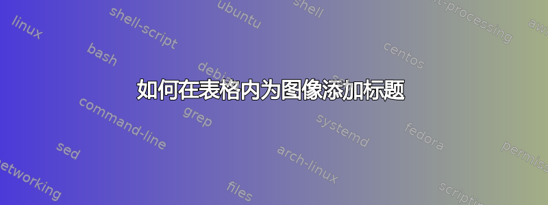 如何在表格内为图像添加标题