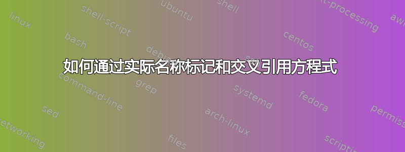 如何通过实际名称标记和交叉引用方程式