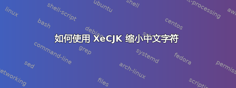 如何使用 XeCJK 缩小中文字符