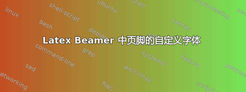 Latex Beamer 中页脚的自定义字体