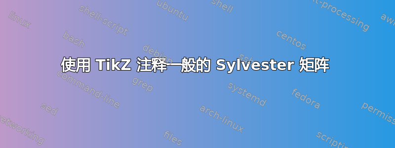 使用 TikZ 注释一般的 Sylvester 矩阵