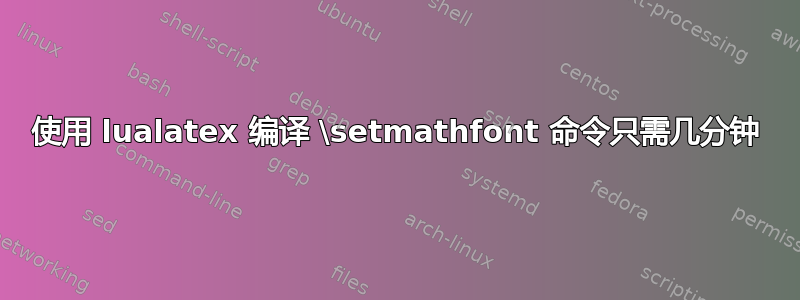 使用 lualatex 编译 \setmathfont 命令只需几分钟