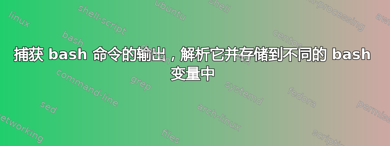 捕获 bash 命令的输出，解析它并存储到不同的 bash 变量中