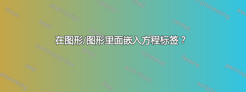 在图形/图形里面嵌入方程标签？