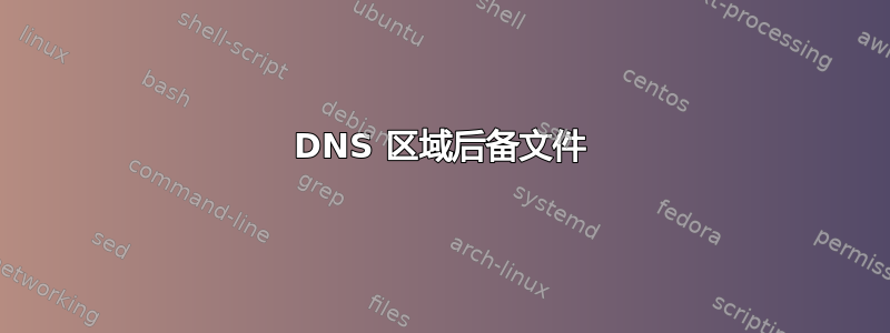 DNS 区域后备文件